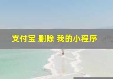 支付宝 删除 我的小程序